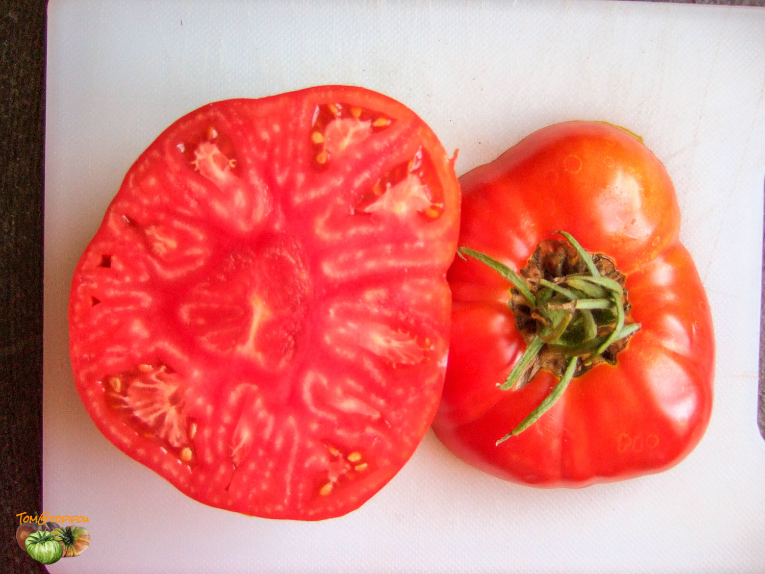 Ceralacca in stecche Rosso Tomato