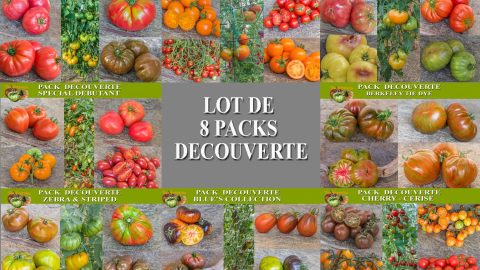 DISCOVERY PACK Set of 8 assorted packs