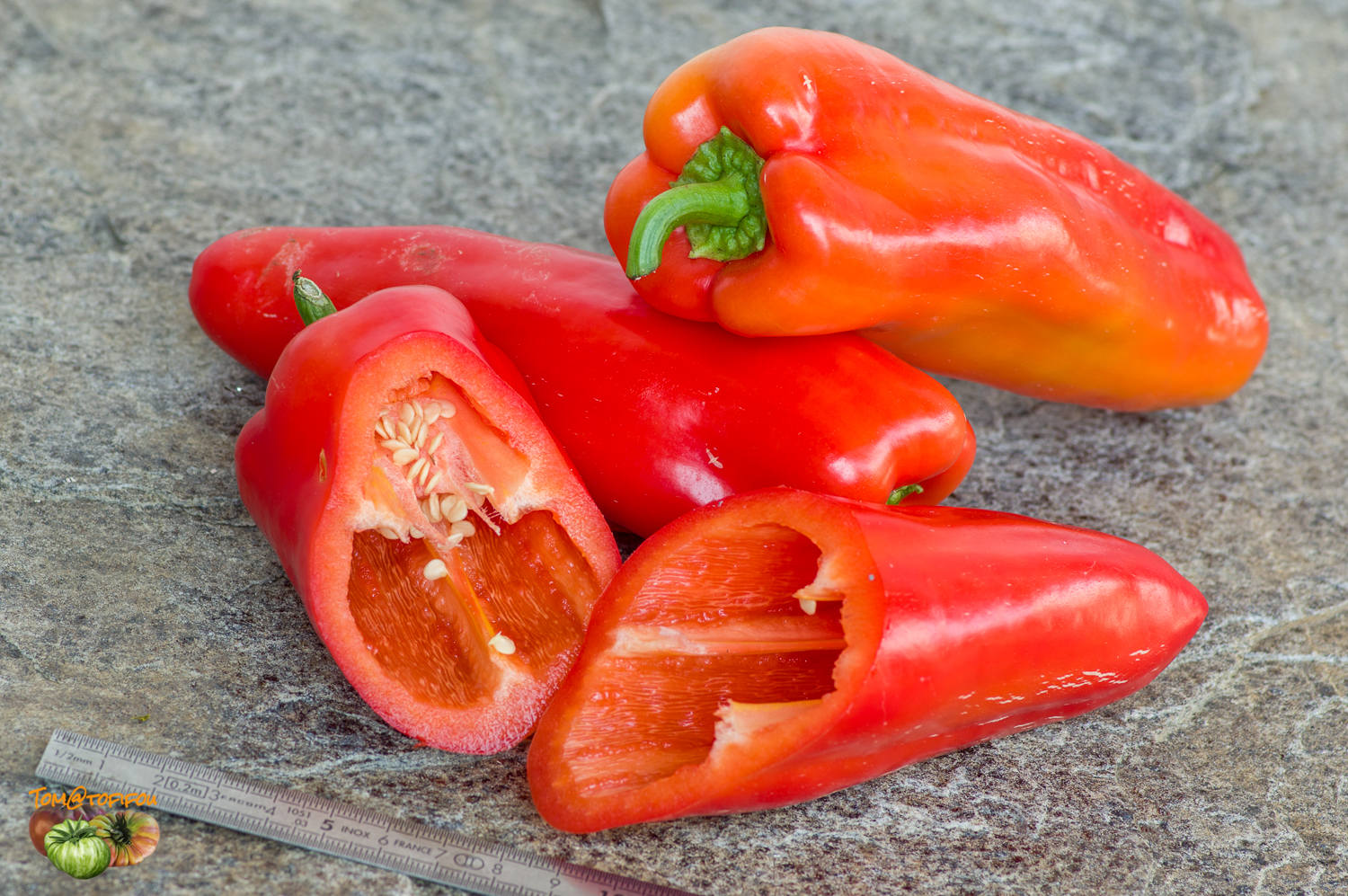 Gypsy Bell Peppers Information and Facts