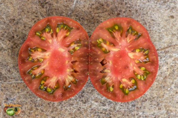 watermelon Арбузные
