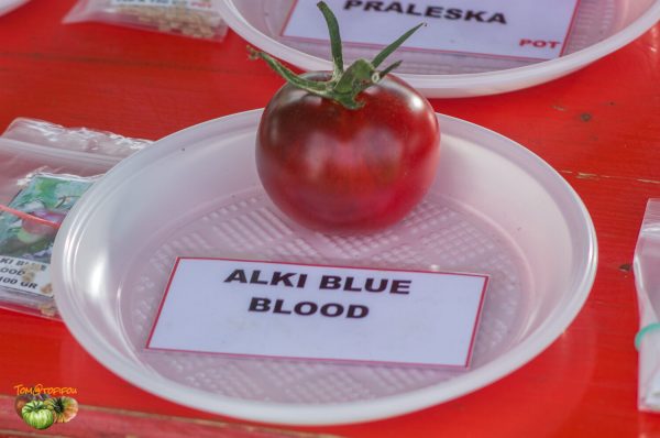 alki blue blood