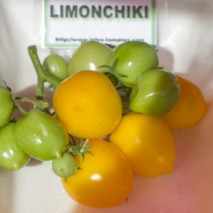 limonchiki