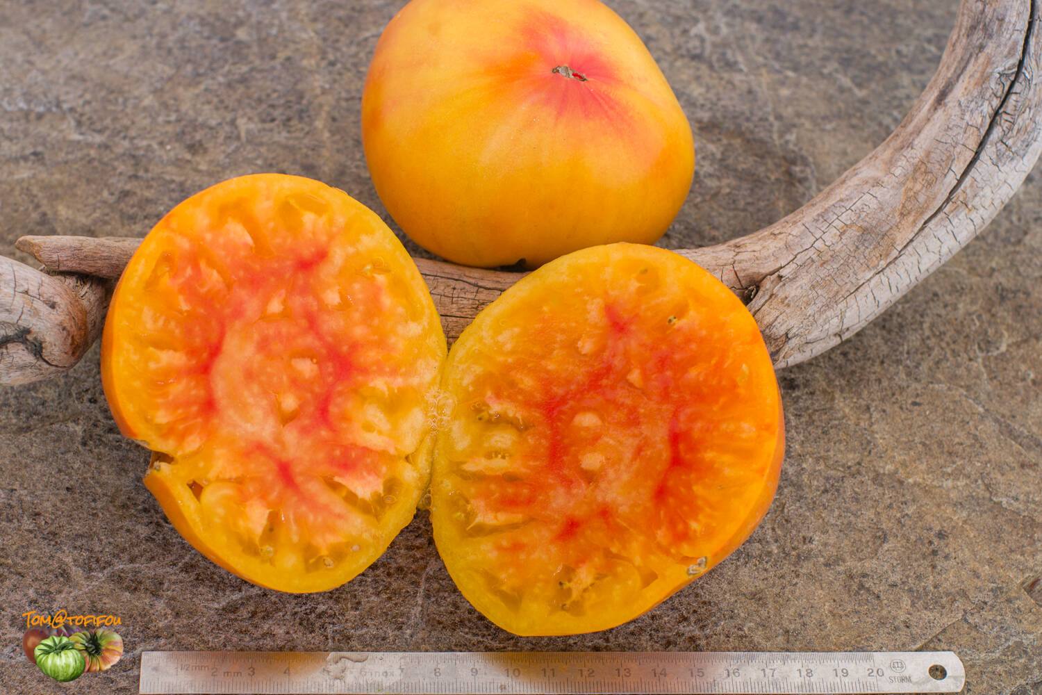 Midnight Sun Tomato - Artisan Seeds