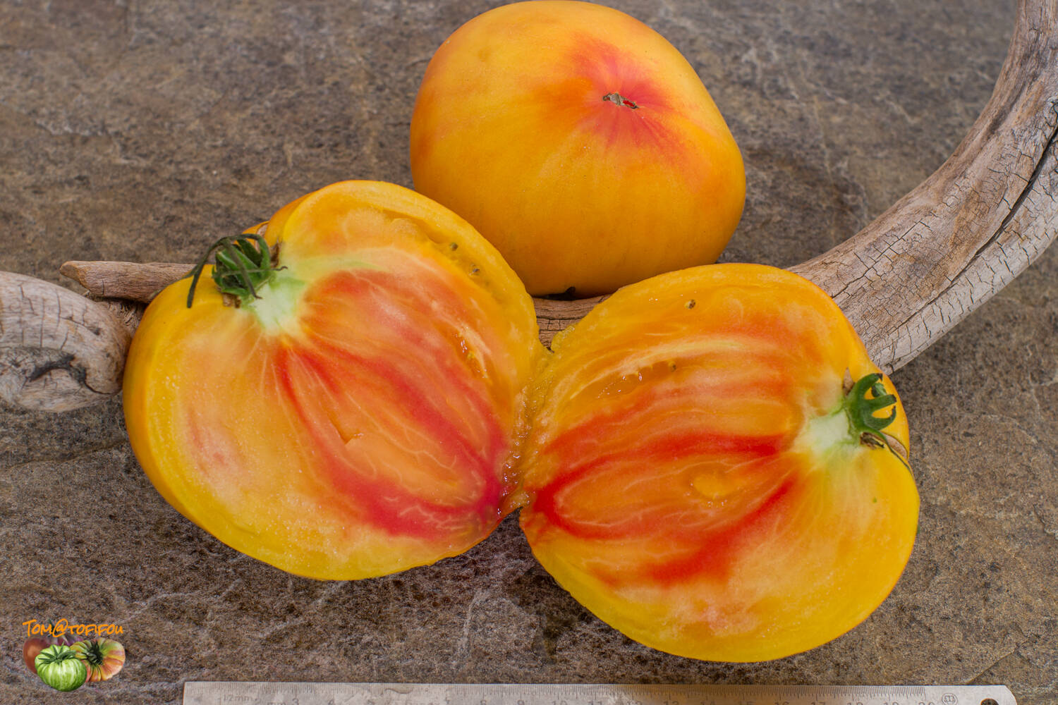 Midnight Sun Tomato - Artisan Seeds