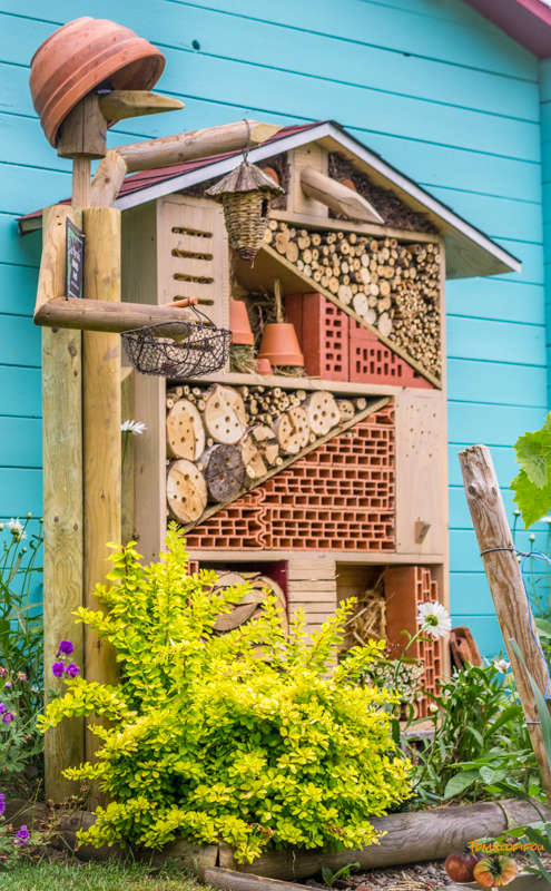 Hôtel à Insectes