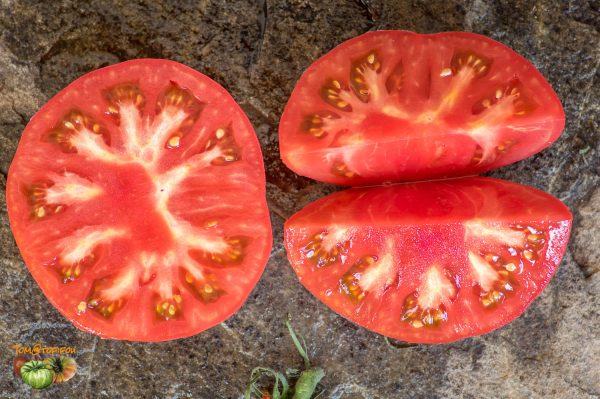 pomidory malinowe 06 aout 2017 3