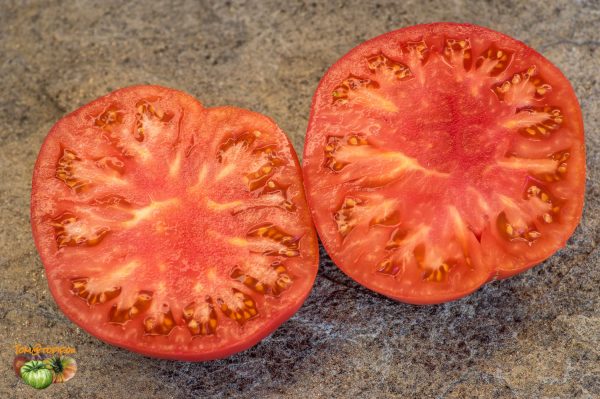 pomidory malinowe 19 octobre 2017 3
