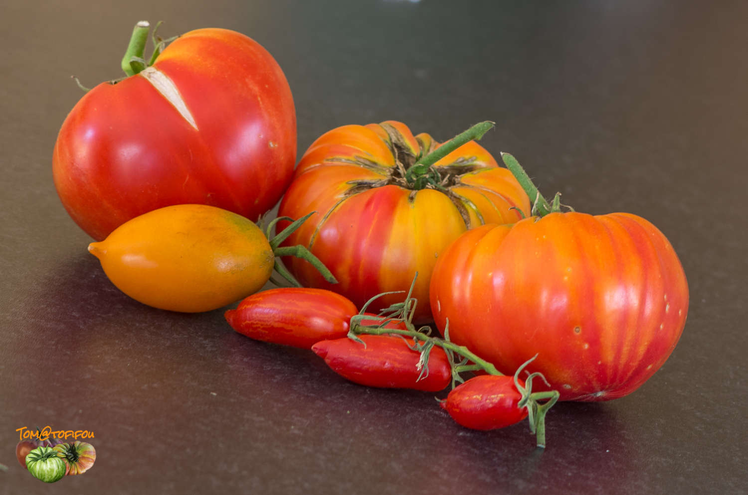 tomate fin saison 11 octobre 2016