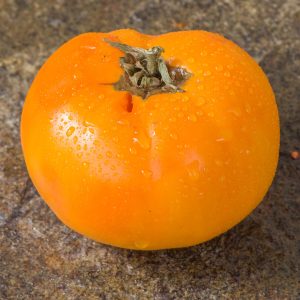 woodle orange